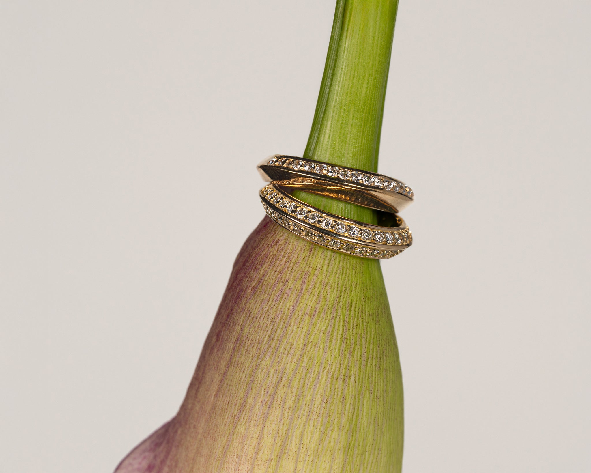 Prism-Twin Ray Ring-YG/WG – プリズムツインレイリング | Append Jewelry